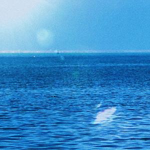 由这一分钟开始