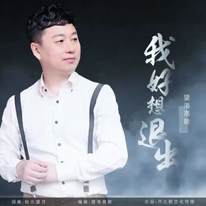 我好想退出 (DJ版)