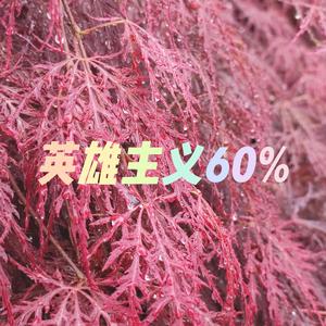 我用什么把你留住