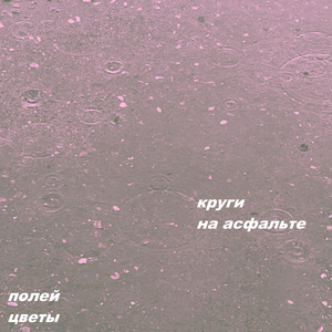 Круги на асфальте