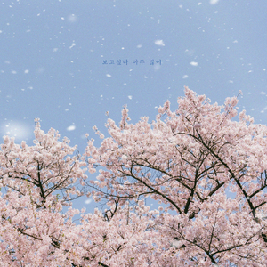 보고 싶다 아주 많이