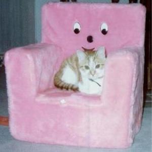 樱华彩（Cover Alyssa）