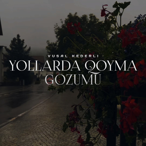 Yollarda Qoyma Gozumu