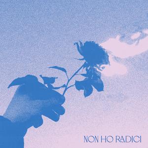 NON HO RADICI