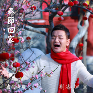 春节回家