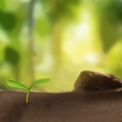 情为所物 (胎教版)