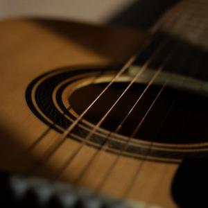 屋顶花园 cover（翻自 蘑菇红）