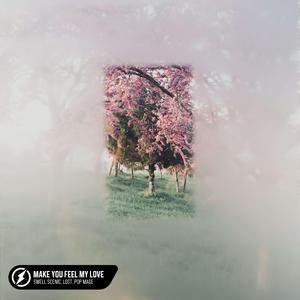 Make You Feel My Love (Acoustic)