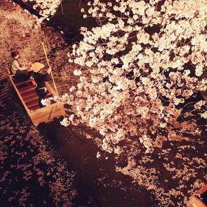 水上灯（女版）（翻自 Braska）