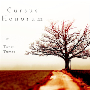 Cursus Honorum