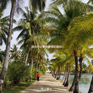 适合办公事务奢侈的音乐
