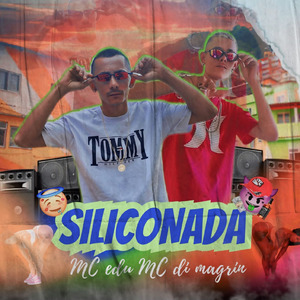 Siliconada
