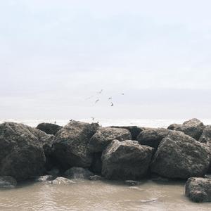 Rockpool