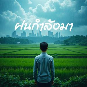 ฝนกำลังมา
