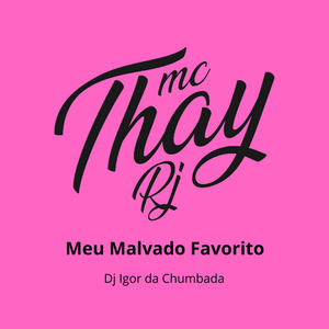 Meu Malvado Favorito