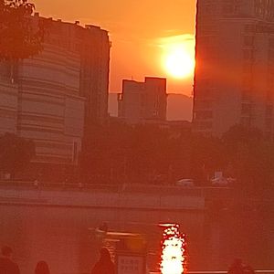 想你时风起(cover:单以纯）