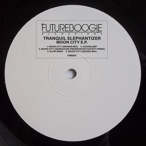 Moon City (Warehouse Preservation Society Remix)