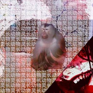 一个自私自利且恶心油腻的更年期女人