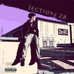 Section 28