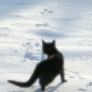 成长本就是孤立无援 你要勇敢一点