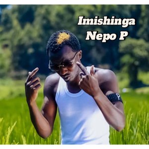 Imishinga