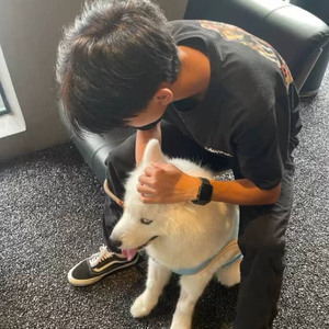 睡不着的凌晨回不去的我们