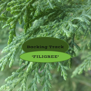 Filigree in A Major (Backing Track)