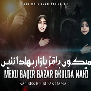 Meku Baqir Bazar Bhulda Nahi