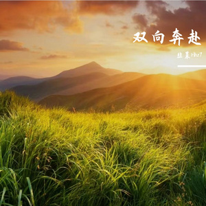 双向奔赴