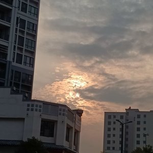 花海（光遇钢琴）