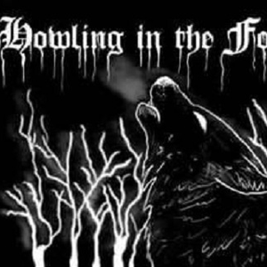 Depressing Paths Through Fullmoon Forests (Sterbend cover)