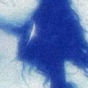 这一个冬天（prod.leo）