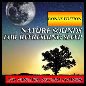 Nature Sounds for Sleep: Heavy Rains with Thunder and Lightning