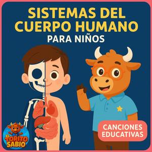 De las células a los sistemas – Intro Mapa del Cuerpo (Para Niños)