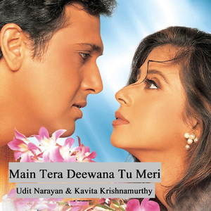 Main Tera Deewana Tu Meri