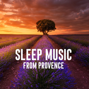 Peaceful Night in Provence