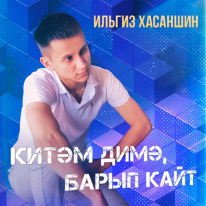 Китэм димэ, барып кайт