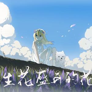 永生花盛开的花田