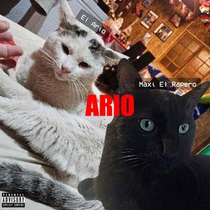 ARIO