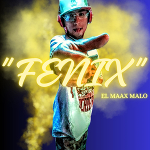 Fénix Oneshot Vol.1