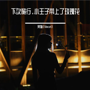 下次旅行，小王子带上了玫瑰花