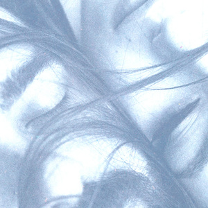 T R a N S P a R E N T S O U L (Sped Up) - I Don't ****ing Know If It's a Lie or It's a Fact