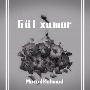 Gül xumar