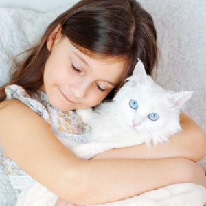 Kitty Connection Chord