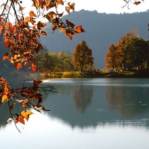 美丽的家乡作词_陆映文-陆映文