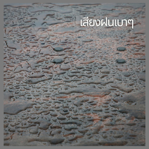 เสียงฝนเบาๆ, ตอนที่ 17