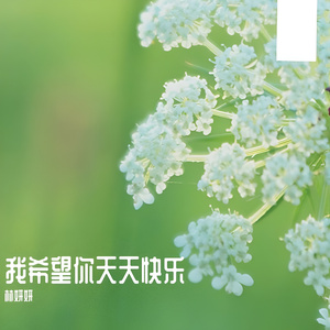 走过千山我也游过万水