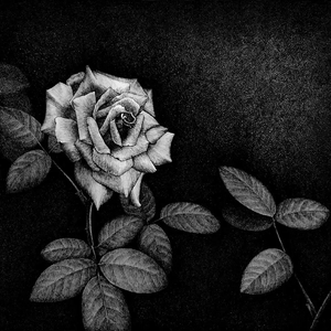 【FREE】刺（Dark trap/drill type beat）