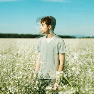 精神感触｜深陷无尽的花海之中