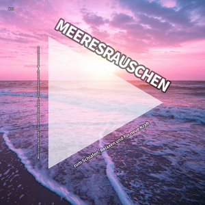 Bilder im Nebel